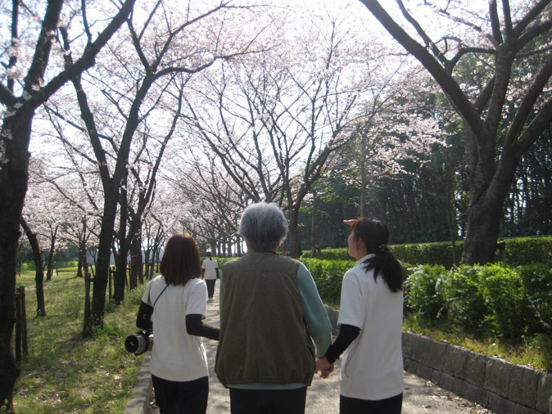 花見後姿